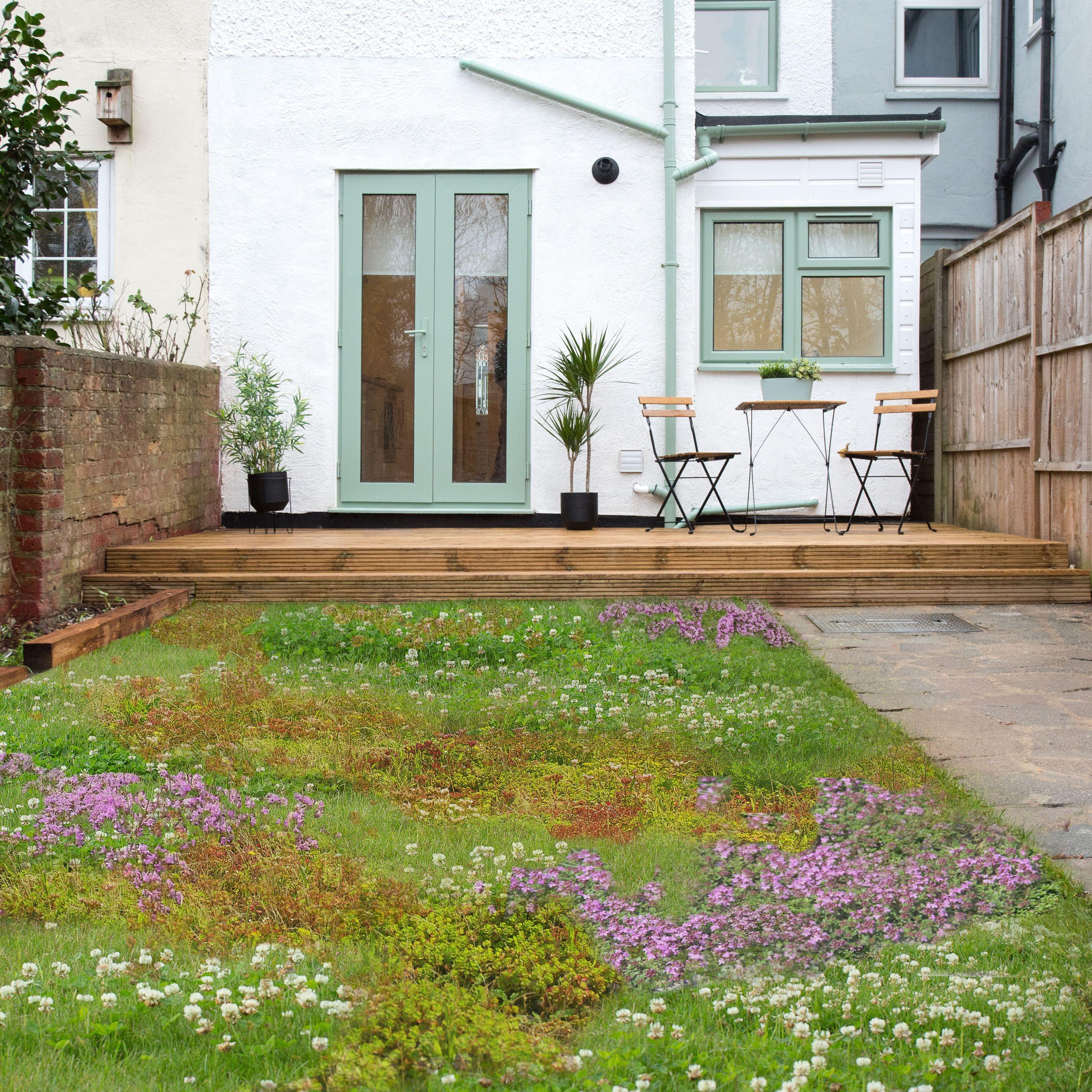 The Rise of Tapestry Lawns in Eco-Friendly Landscaping