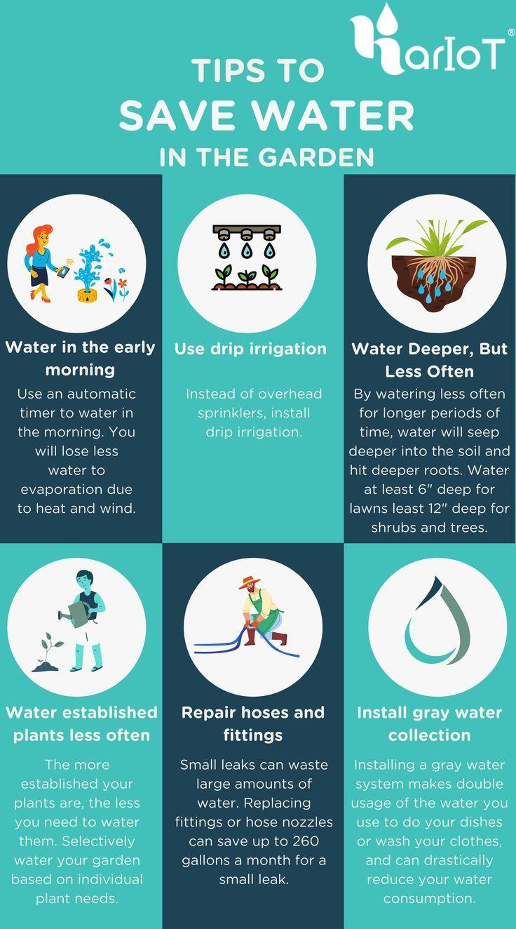 Smart Watering Tips: Mow, Mulch & Save in Heatwaves