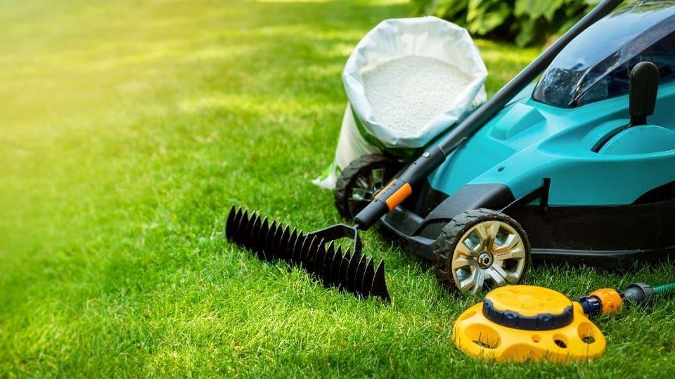 Top 5 Mistakes to Avoid in Lawn Care This Year