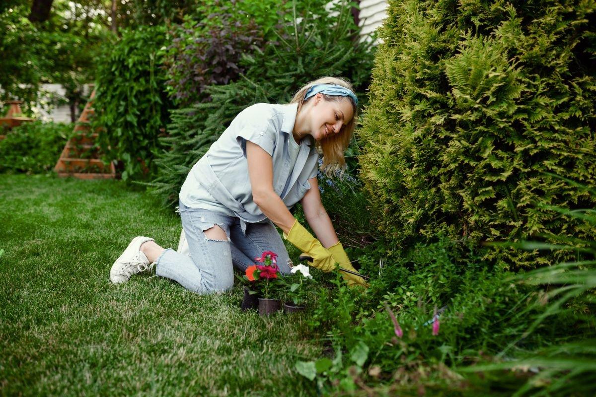 Eco-Friendly Lawn Care: 6 Steps to a Greener Yard