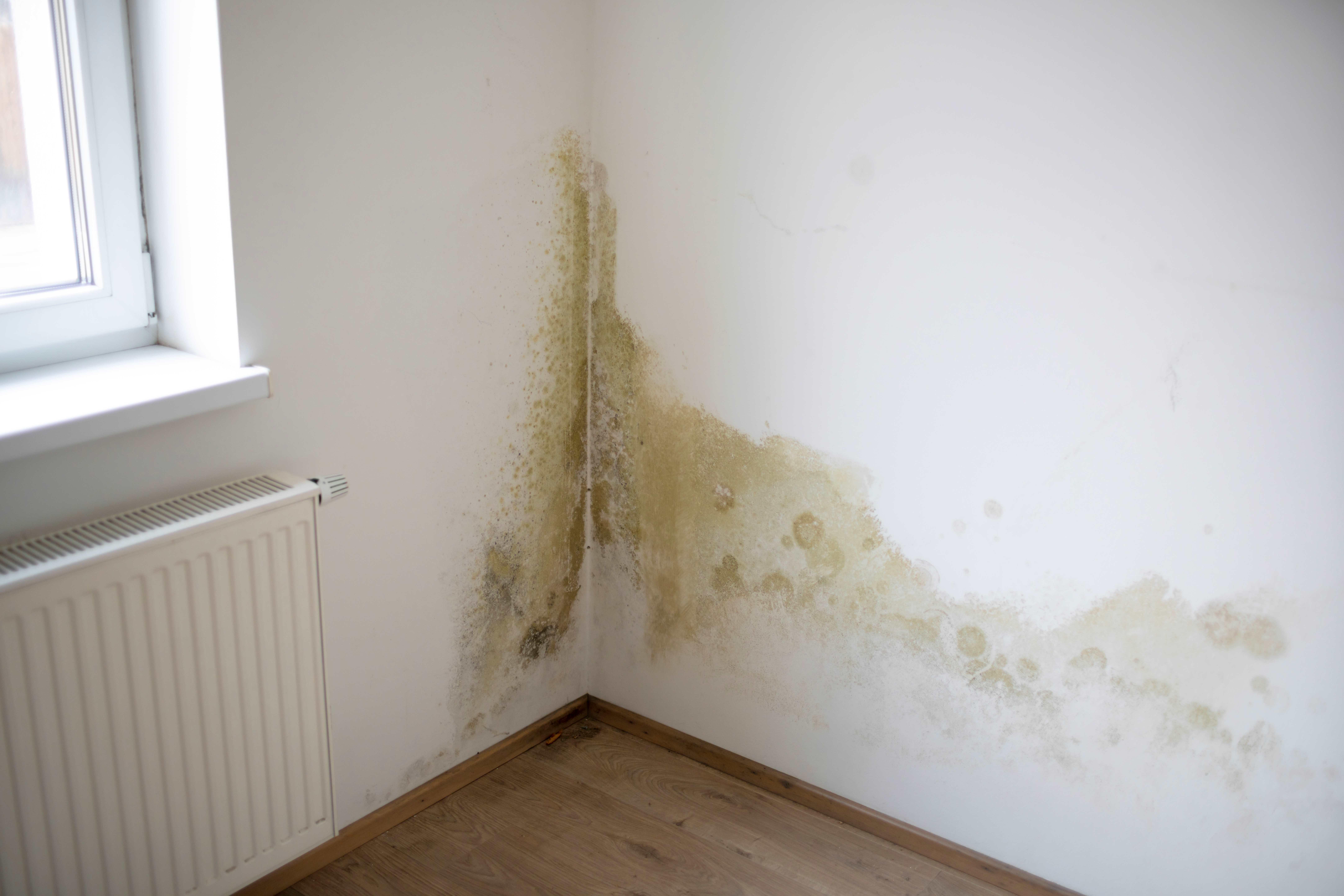 Identifying Signs⁣ of Wear and Tear