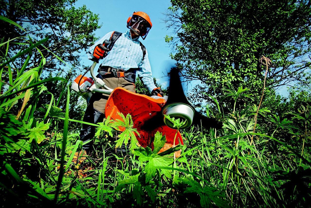 Choosing the Right Tools for Effective Lawn Maintenance