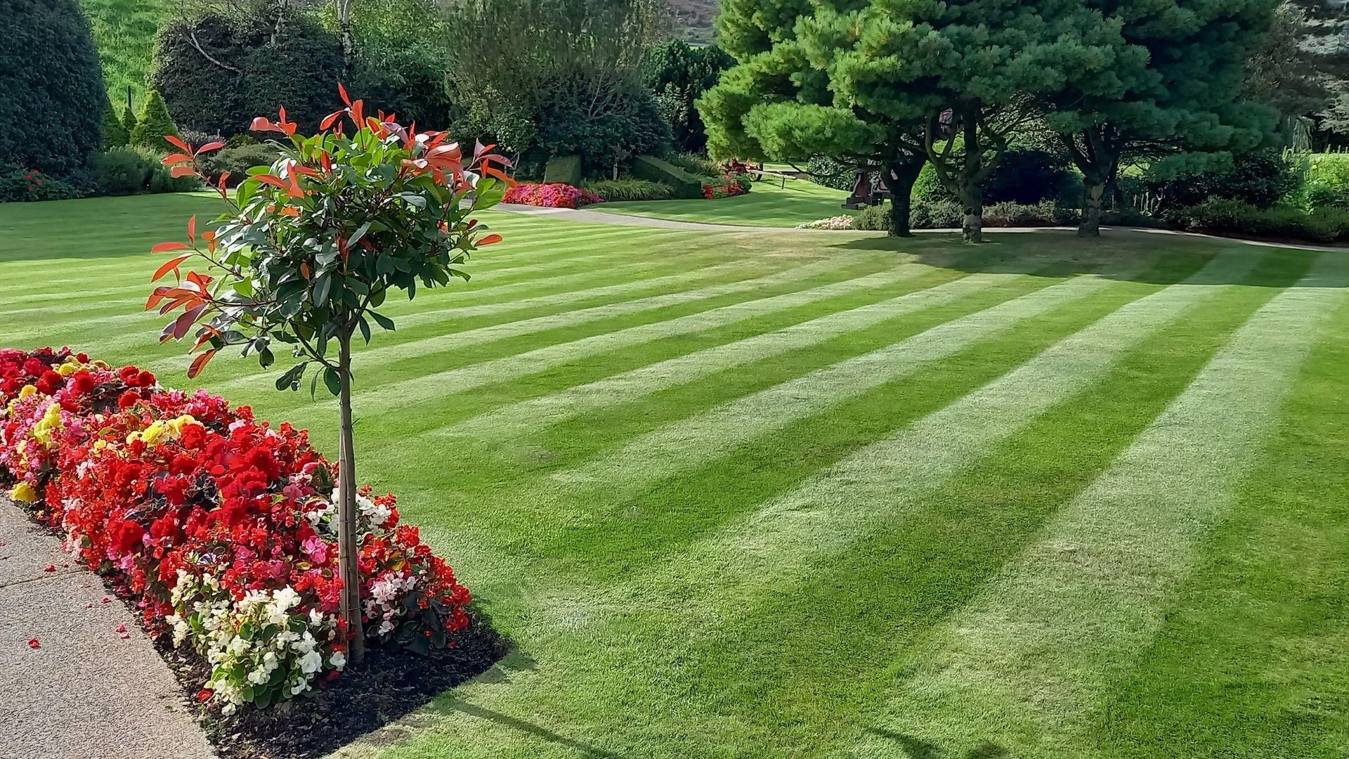 Practical Applications: Easy Ways to Incorporate Cinnamon into Your Lawn Care routine