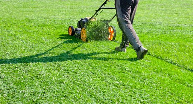 Lawn Care Strategies: Mowing Techniques for Drought Resilience